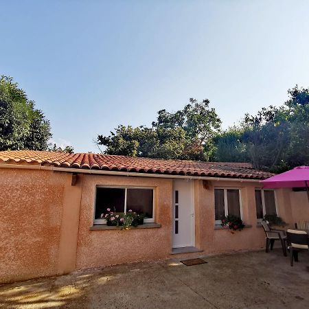 Maison de village proche commodités Murato Exterior foto